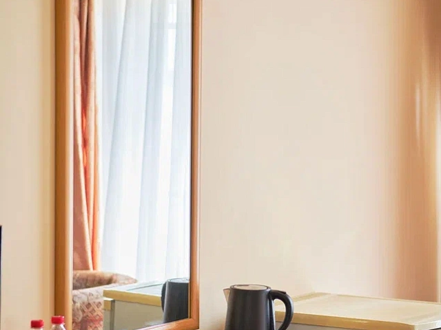 Санаторий «Долина Нарзанов», Ессентуки. 2-местный 1-комнатный «Стандарт»